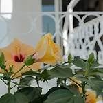 Continental Hotel Senigallia