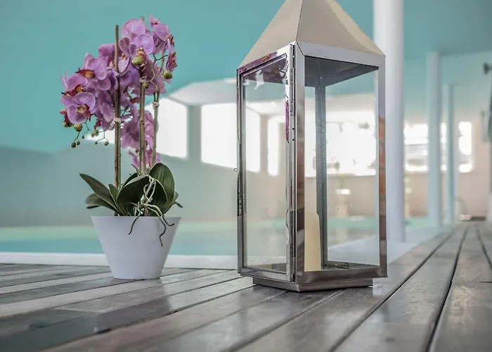 Continental Otel Senigallia